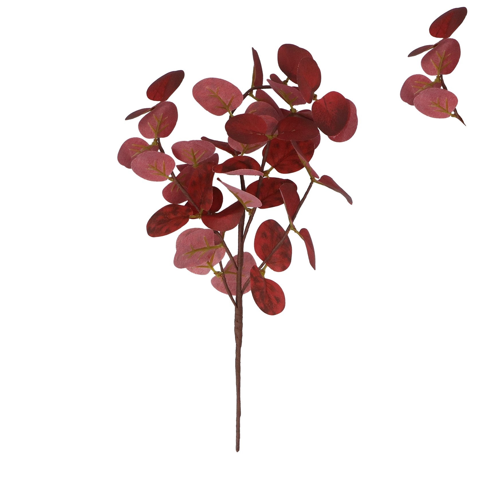 Gisela Graham - 33cm - Burgundy Eucalyptus Pick
