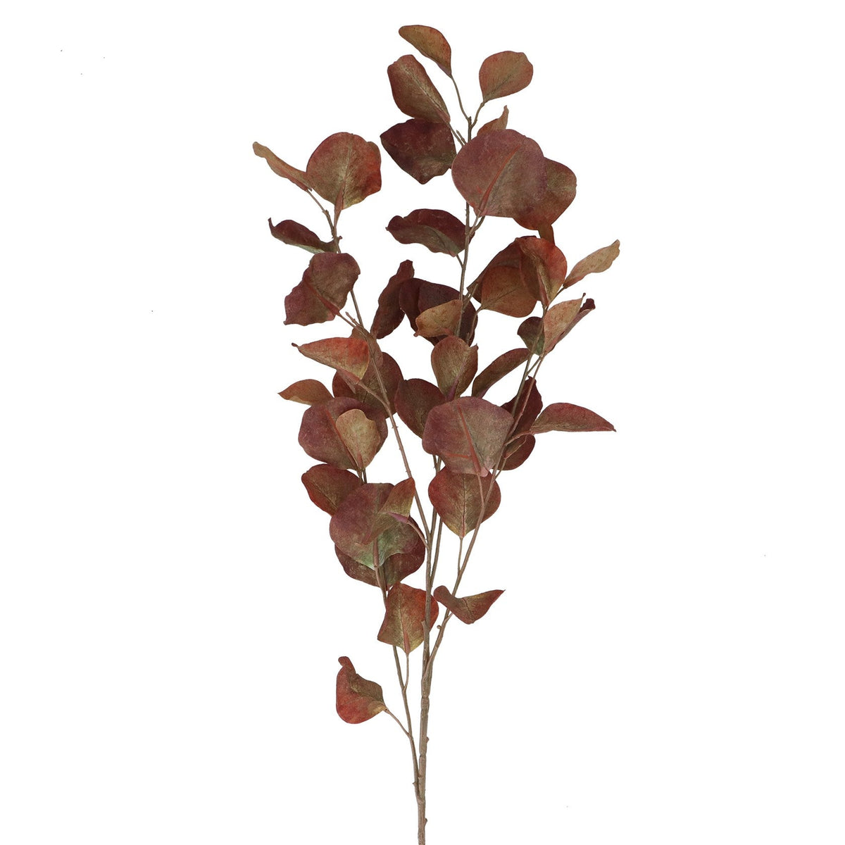 Gisela Graham - 83cm - Antique Chestnut Eucalyptus Spray