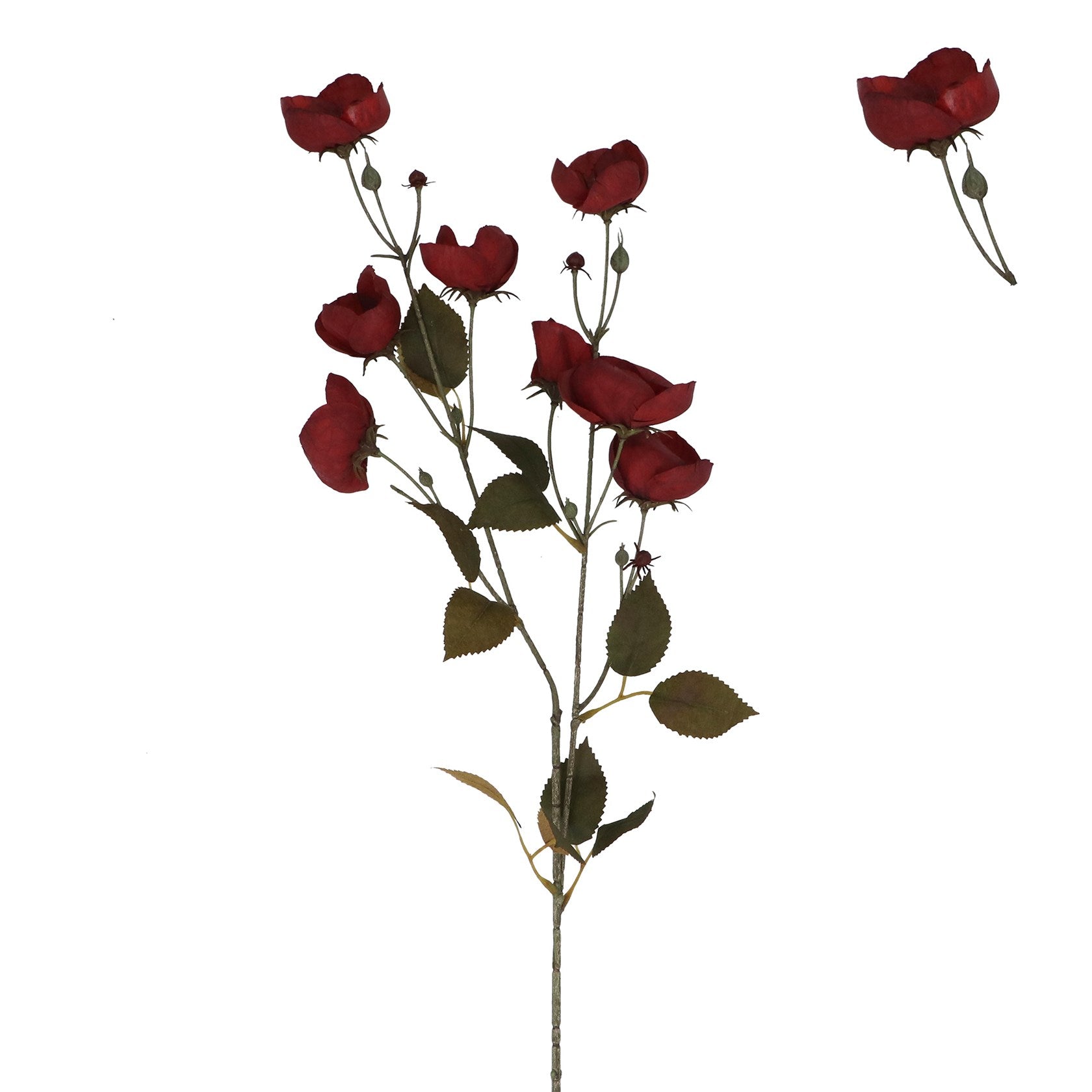 Gisela Graham - Burgundy Poppy Spray - 78cm