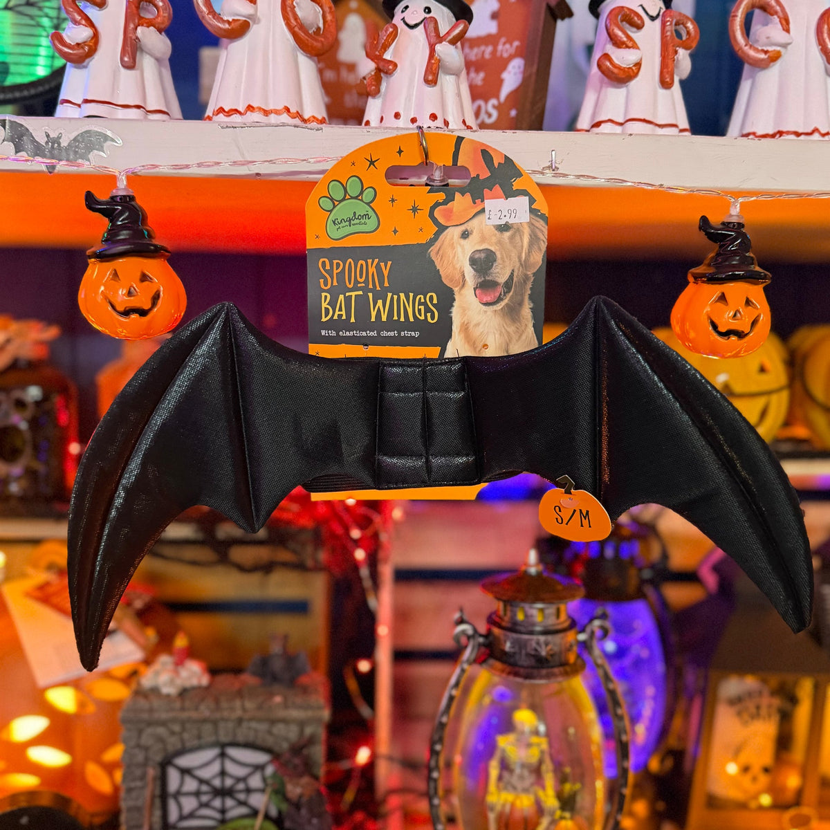 Halloween Dog Costume Bat Wings -S/M