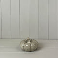 Short Grey Beige Mottle Ceramic Pumpkin Decoration - 8cm