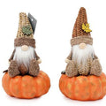 Autumn Gonk sat on Pumpkin