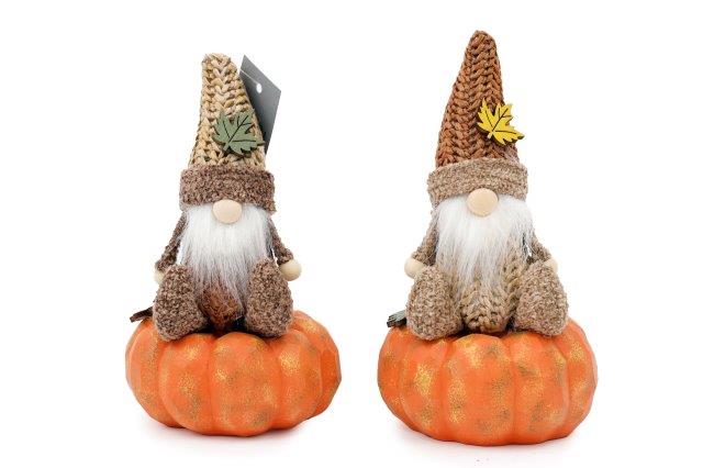 Autumn Gonk sat on Pumpkin