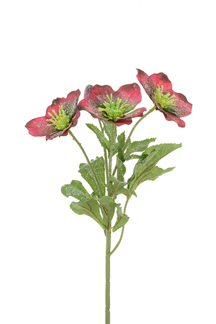 Iced Hellebore Spray with Glitter Effect- 38cm