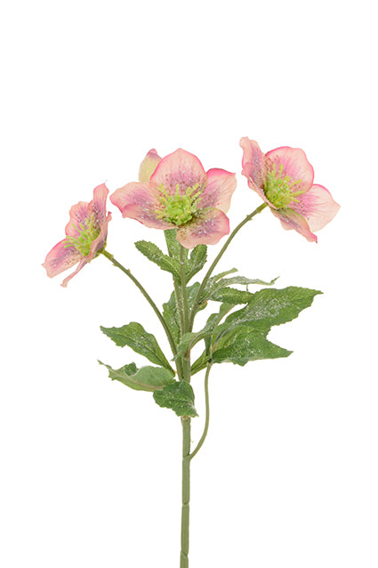 Iced Hellebore Spray with Glitter Effect- 38cm