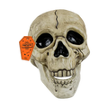 Halloween Skull Decoration with Black Line Detail