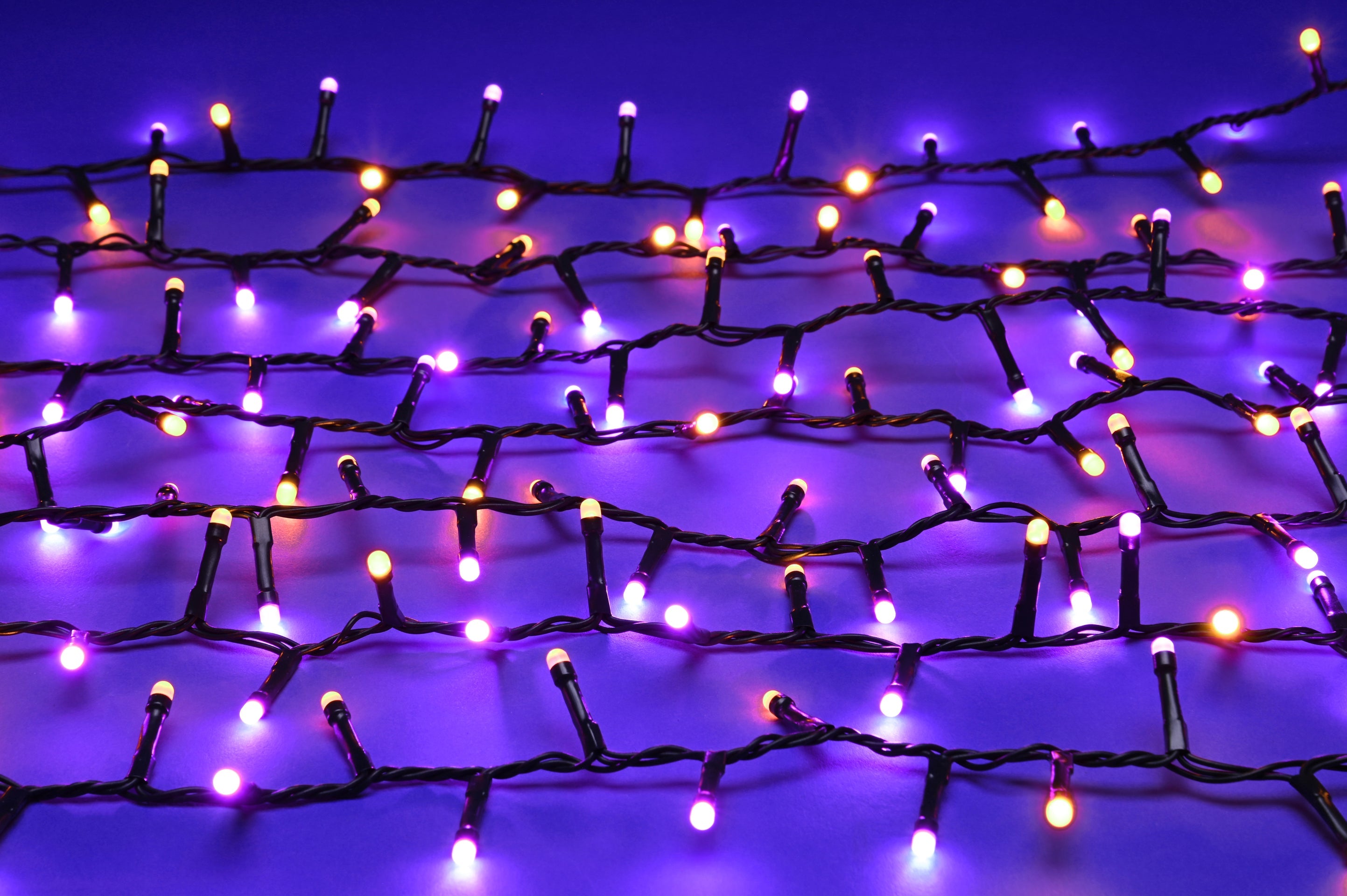Festive Halloween Glow-Worm Lights Purple & Orange Set of 1000 LEDs