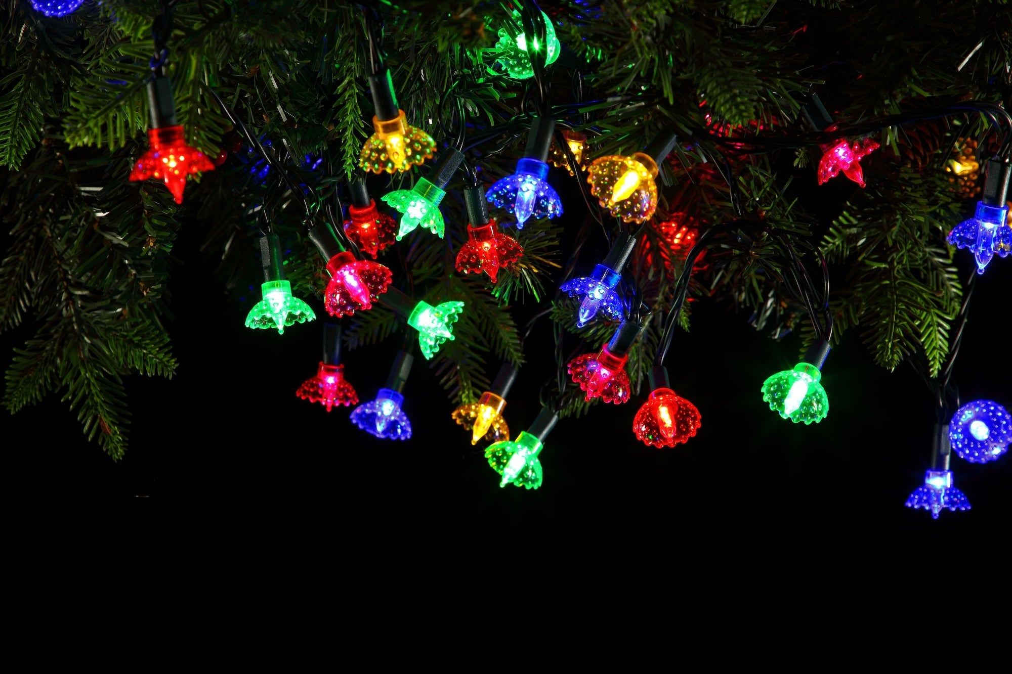 NOMA Classic Pickwicks Battery Operated LED Lights - Set of 20