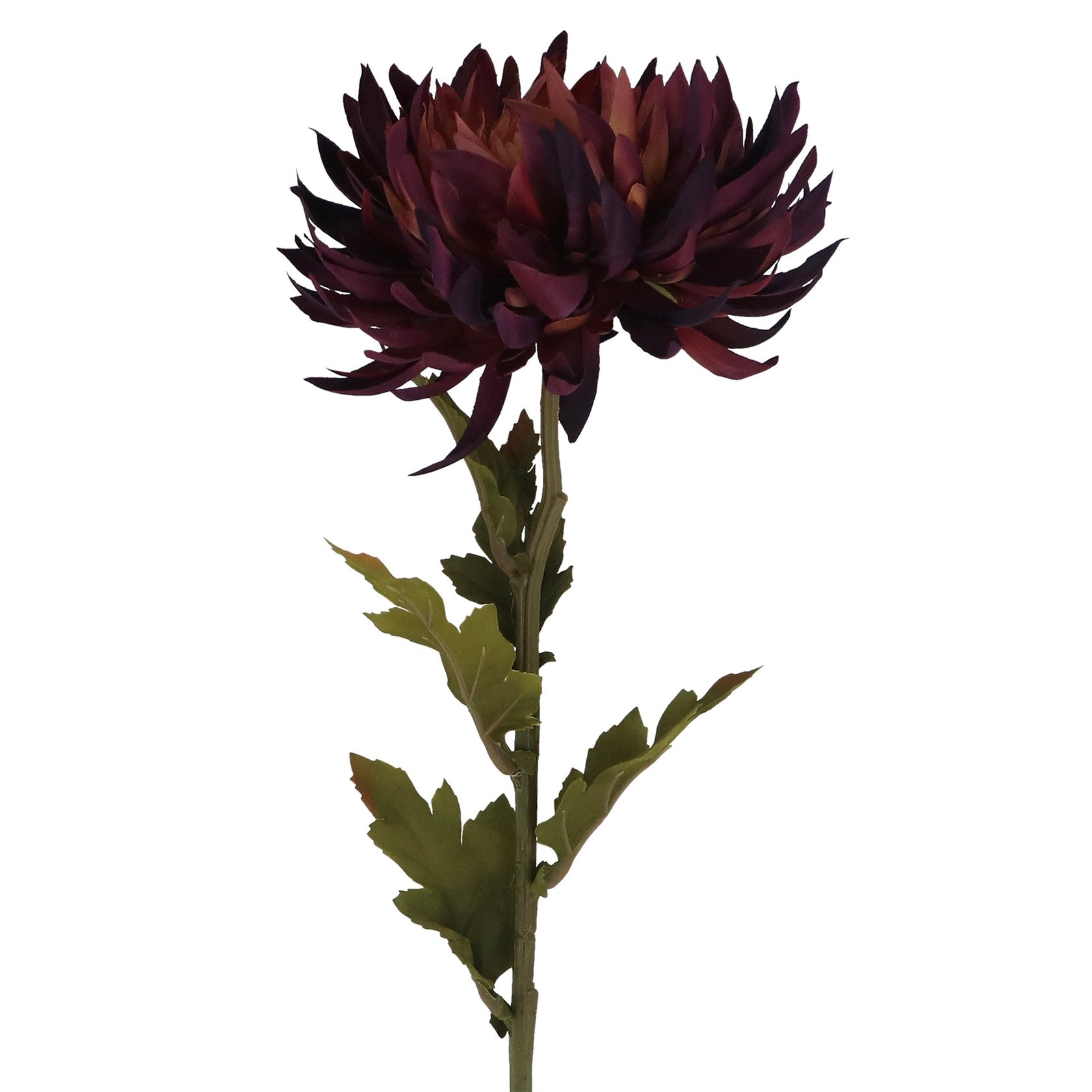 Gisela Graham Dark Purple Chrysanthemum Stem - 62cm