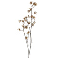 Gisela Graham - Branch 60cm - Antique Cream Mini Morning Glory