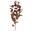 Gisela Graham - 83cm - Antique Chestnut Eucalyptus Spray