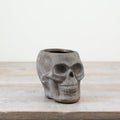 Grey Skull Planter 14.5cm