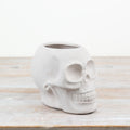 Halloween White Skull Planter 14.5cm