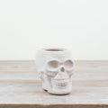 Halloween White Skull Planter 18cm
