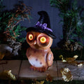 Glowing Eyes Owl Witch