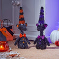 Orange/Purple Spooky Rat