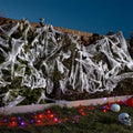 Scary Web and 6 Spiders