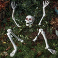 Bone Yard Bones