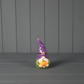 Autumn Light Up LED Gonk Witch with Pumpkin - 15cm