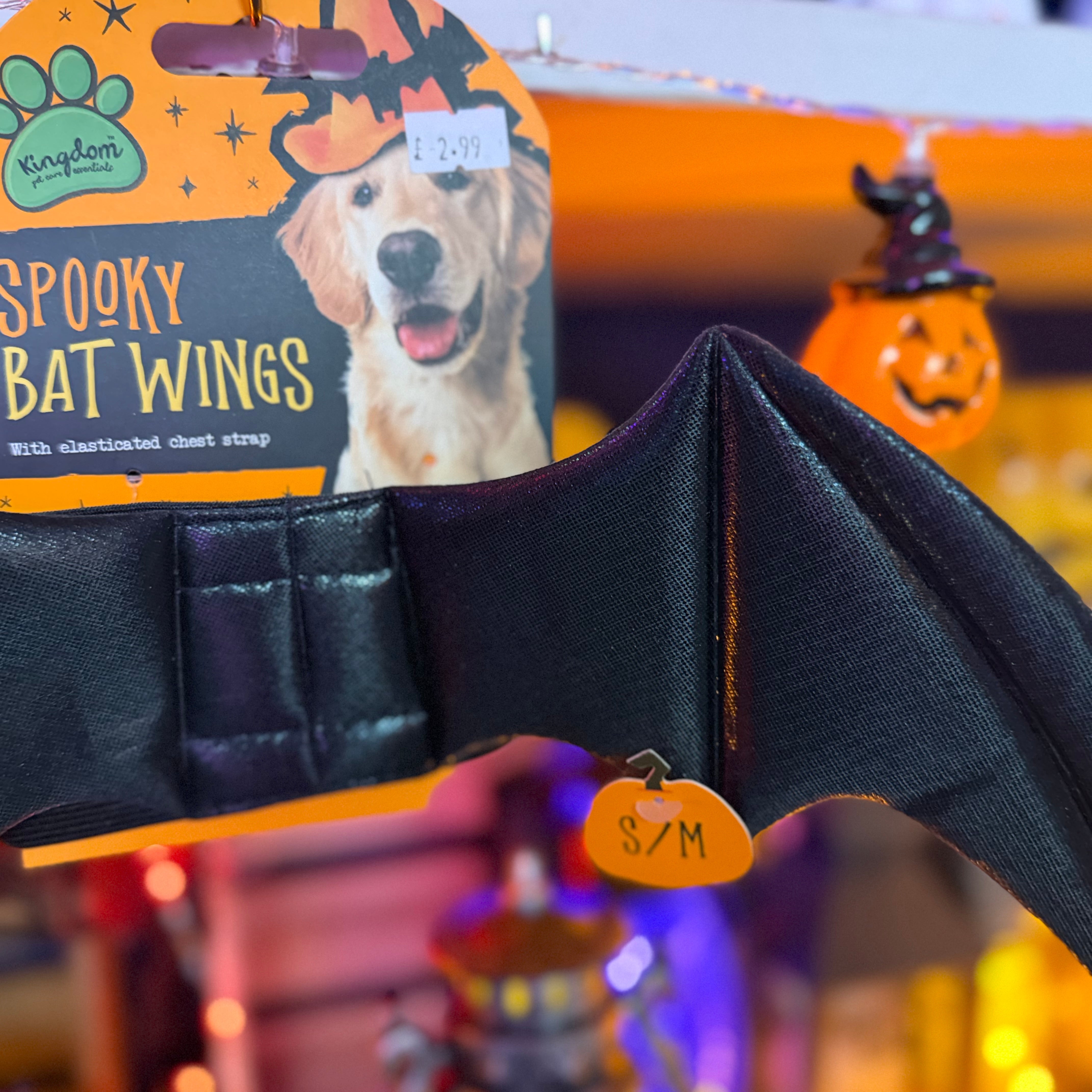 Halloween Dog Costume Bat Wings -S/M