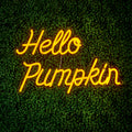 Autumn "Hello Pumpkin" LED Neon Sign 47cm