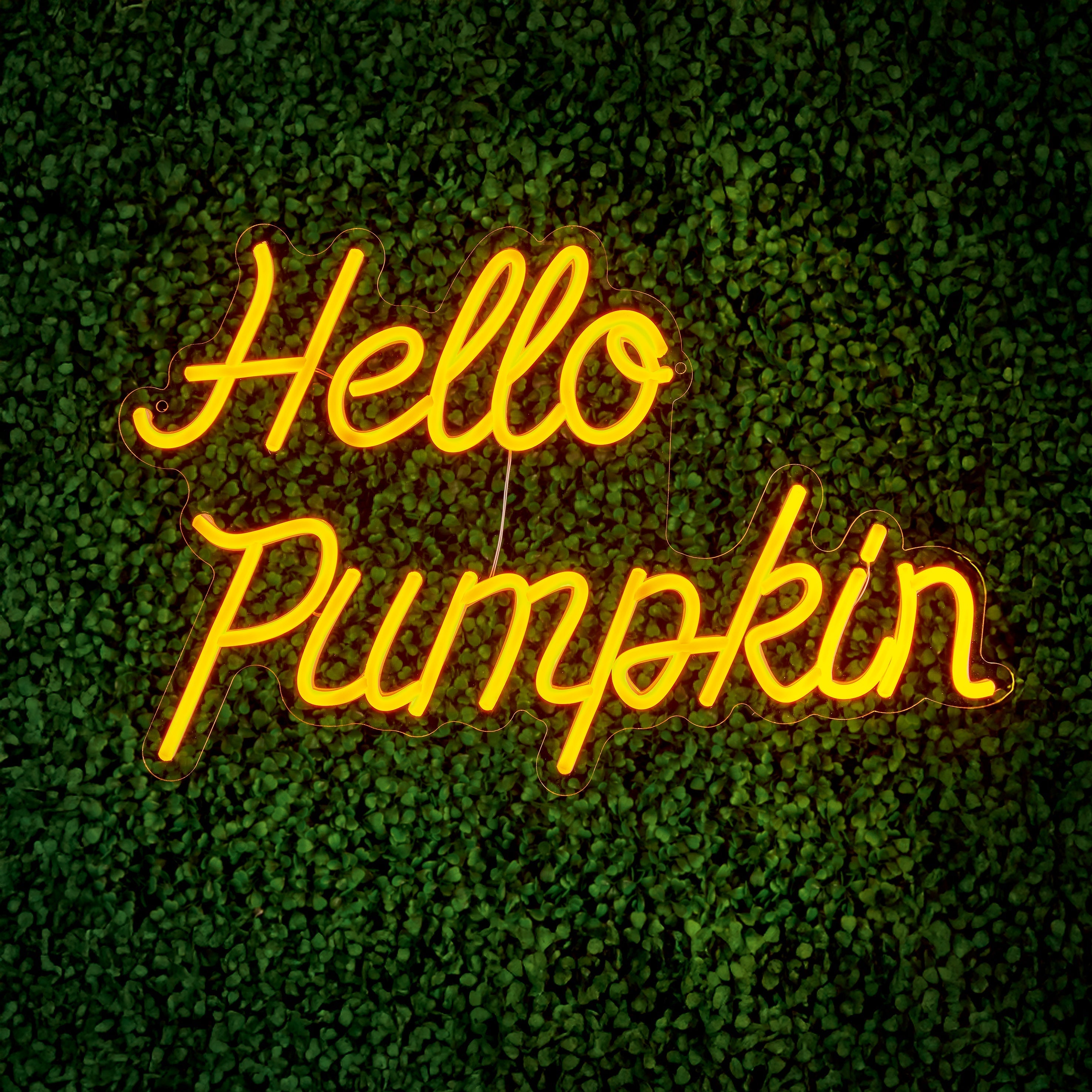 Autumn "Hello Pumpkin" LED Neon Sign 47cm