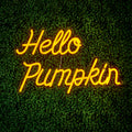 Autumn "Hello Pumpkin" LED Neon Sign 47cm
