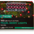 Premier Multi Action Pearl Berry 100 LED Lights