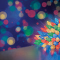 Premier Multi Coloured Pinecone C6 LED Multi Action with Timer Function - Set of 150
