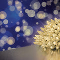 Premier Warm White Pinecone C6 LED Multi Action with Timer Function - Set of 150
