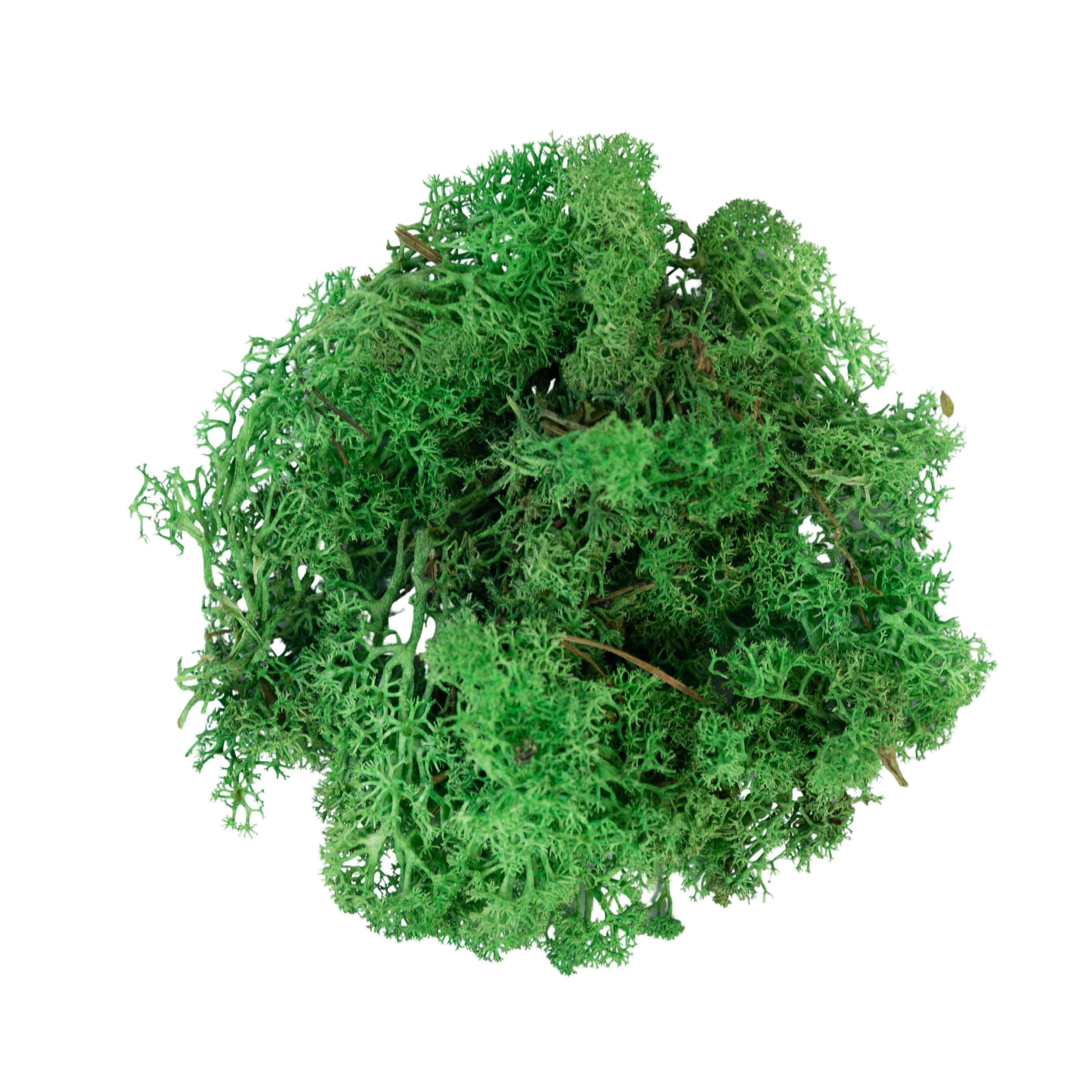 MyVillage - Reindeer Moss Green 50g - Christmas Village Decoration