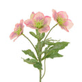 Iced Hellebore Spray with Glitter Effect- 38cm