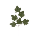 Green Velvet Maple Leaf Spray - 70cm