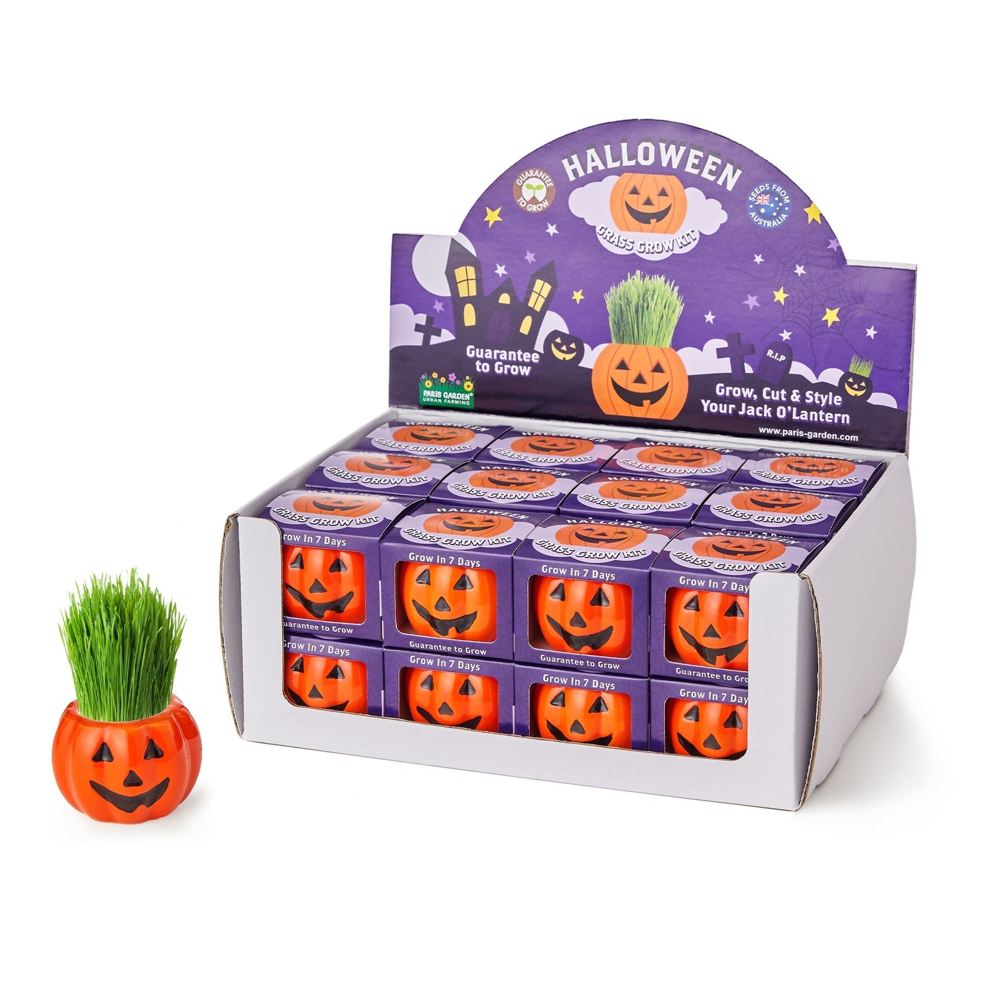 Halloween Pumpkin Grass Hair Growing Kit