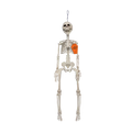 Halloween Hanging Skeleton Decoration - 76cm