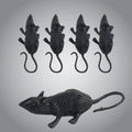 4 Pack of Mini Rats