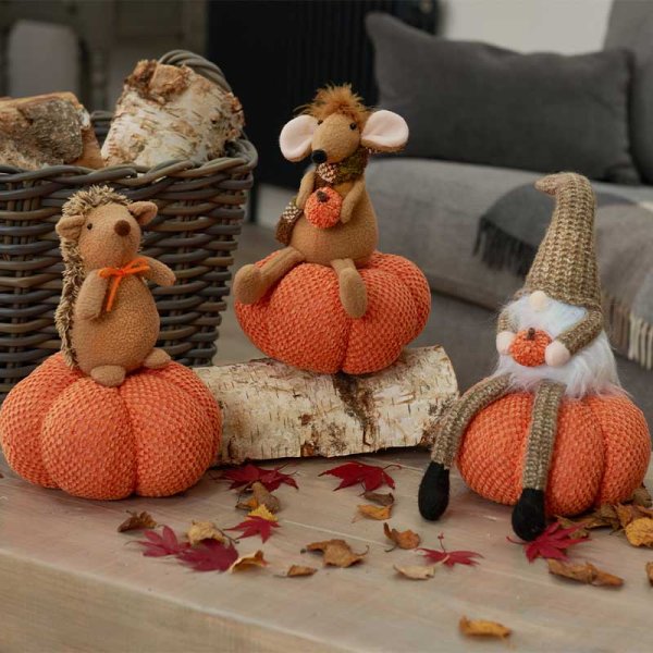 Hog-Kin Hedgehog with Pumpkin