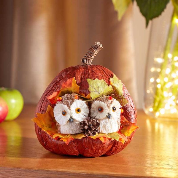 Pumpkin Pals Hedgehog or Owl - Autumn Pumpkin Decoration