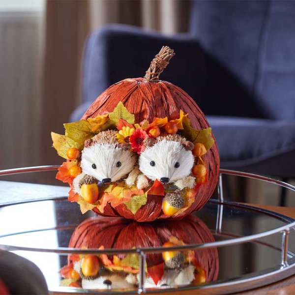 Pumpkin Pals Hedgehog or Owl - Autumn Pumpkin Decoration