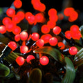 NOMA Berry Fit & Forget Battery Operated LED Lights - Set of 200