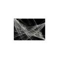 Premier Halloween Cotton Style Cobweb Decoration with 2 Spiders