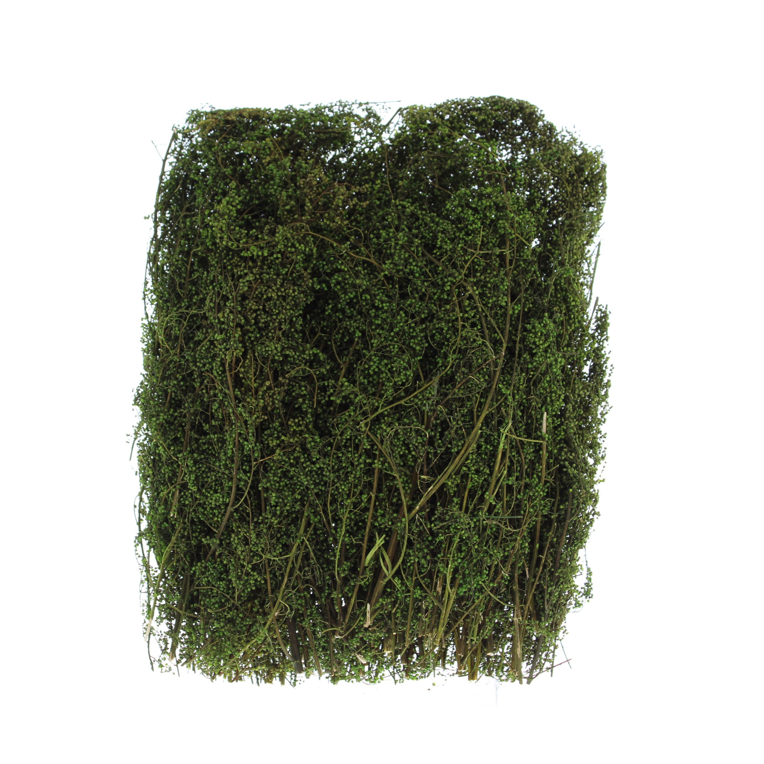 Bag of Foam Moss - 100grm