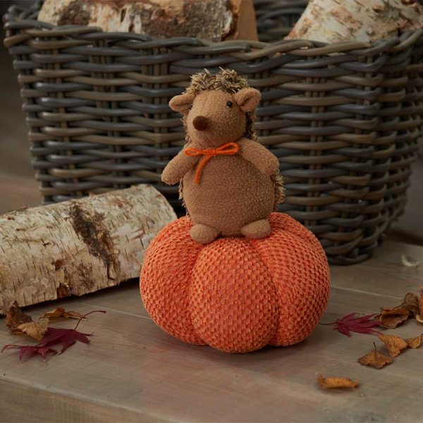 Hog-Kin Hedgehog with Pumpkin