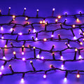 Festive Halloween Glow-Worm Lights Purple & Orange Set of 500 LEDs
