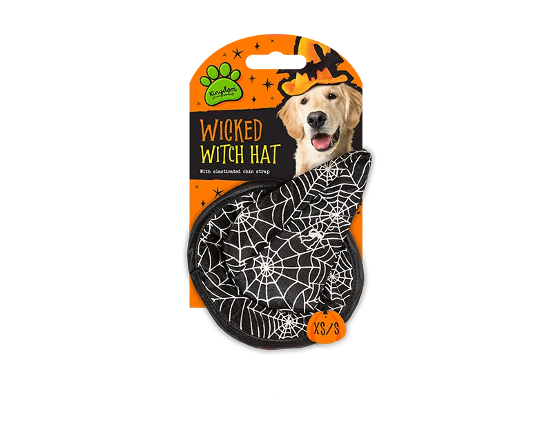 Halloween Pet Witches Hat