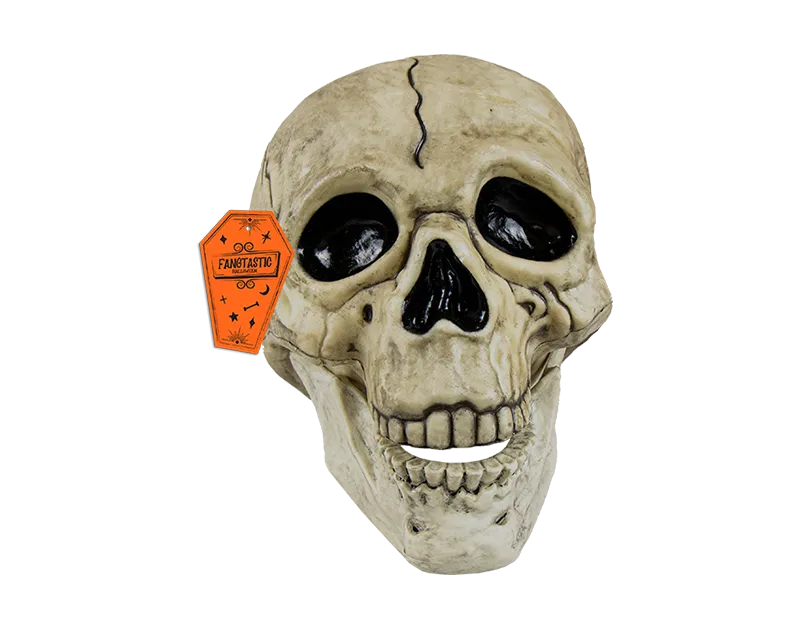 Halloween Skull Decoration with Black Line Detail