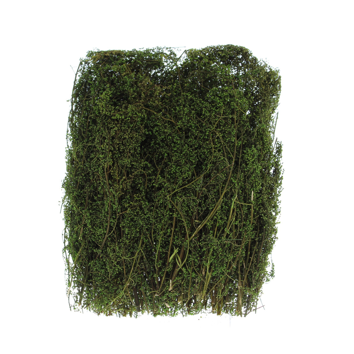 Bag of Foam Moss - 100grm